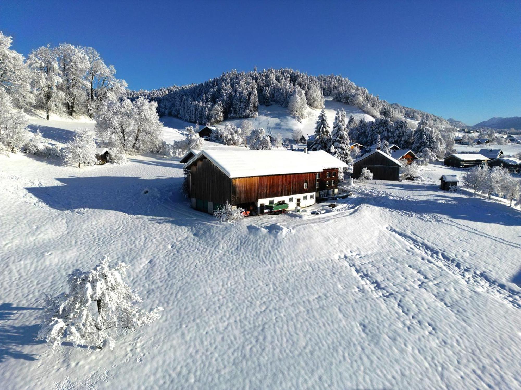 Bergoase Hohenegg Villa Lingenau Luaran gambar