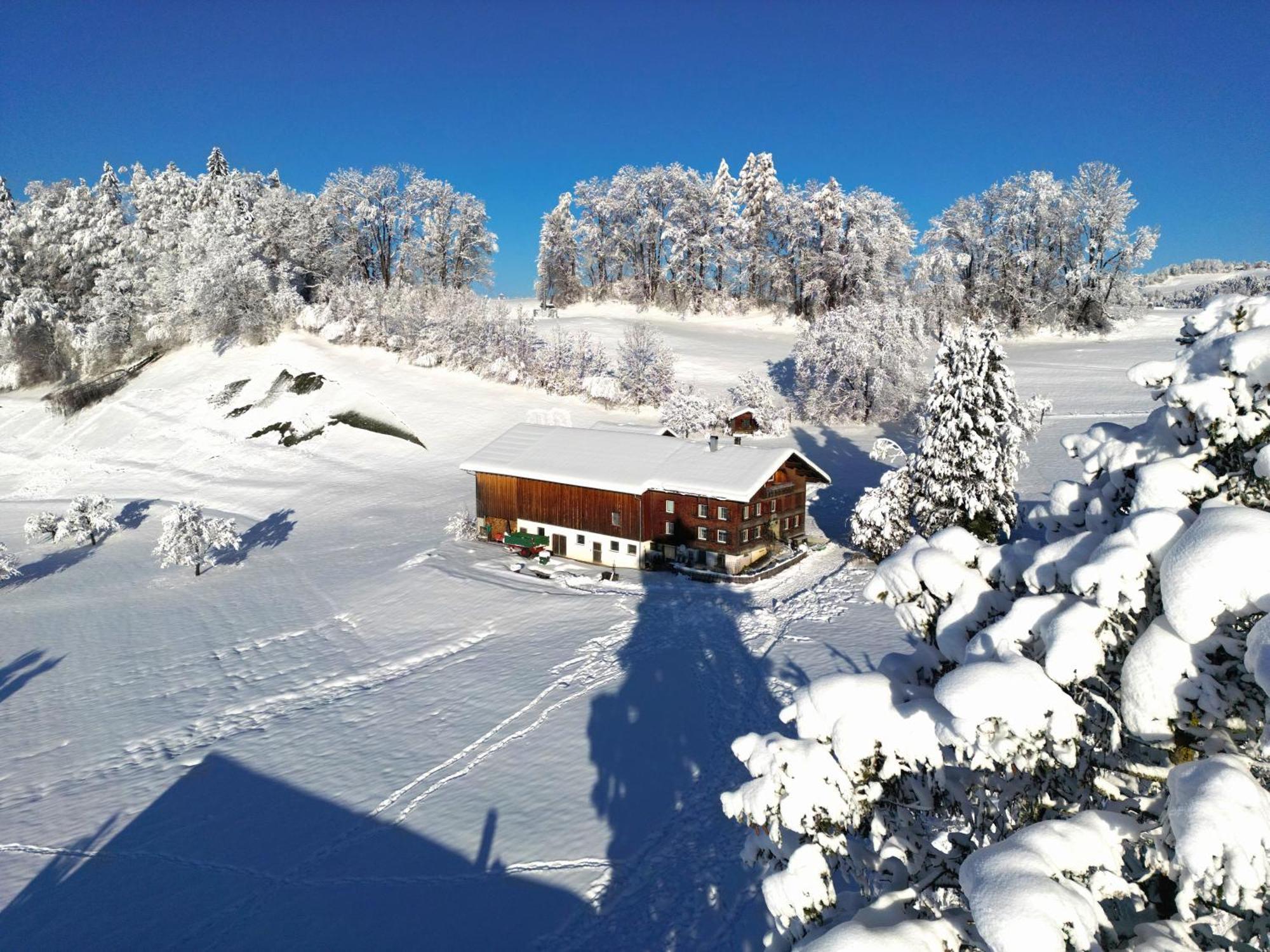 Bergoase Hohenegg Villa Lingenau Luaran gambar